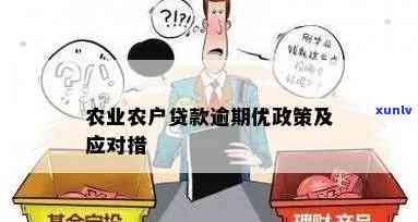 农户贷款逾期一次怎么处理才能避免损失