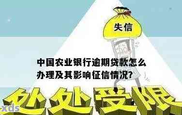 农户贷款逾期一次怎么处理才能避免损失