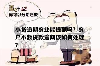 农户贷款逾期一次怎么处理才能避免损失