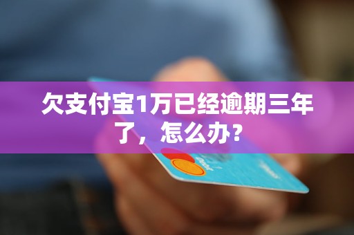 欠支付宝8万两年怎么办