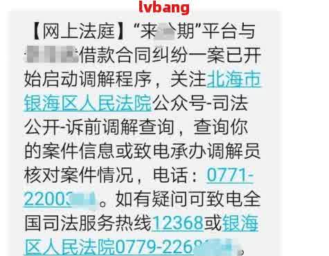 欠网贷被起诉开庭怎么应对