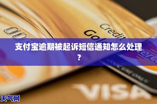 支付宝逾期多久必须被起诉的相关规定是什么