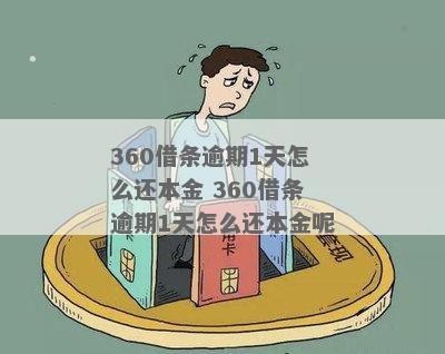 360逾期滞纳金