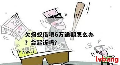 蚂蚁借呗欠8万逾期1年的问题处理要点及条件