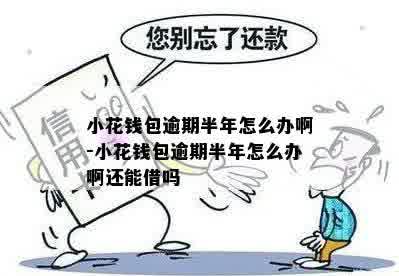 小花钱包欠一个月没还