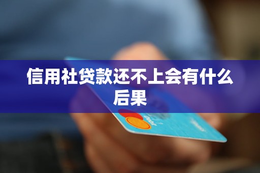 信用贷款还不上后果严重吗