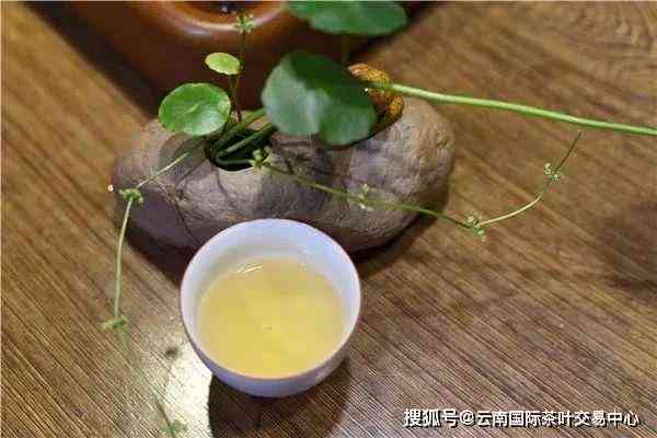 三年后红茶仍然可饮吗？如何正确保存红茶以长其保质期？