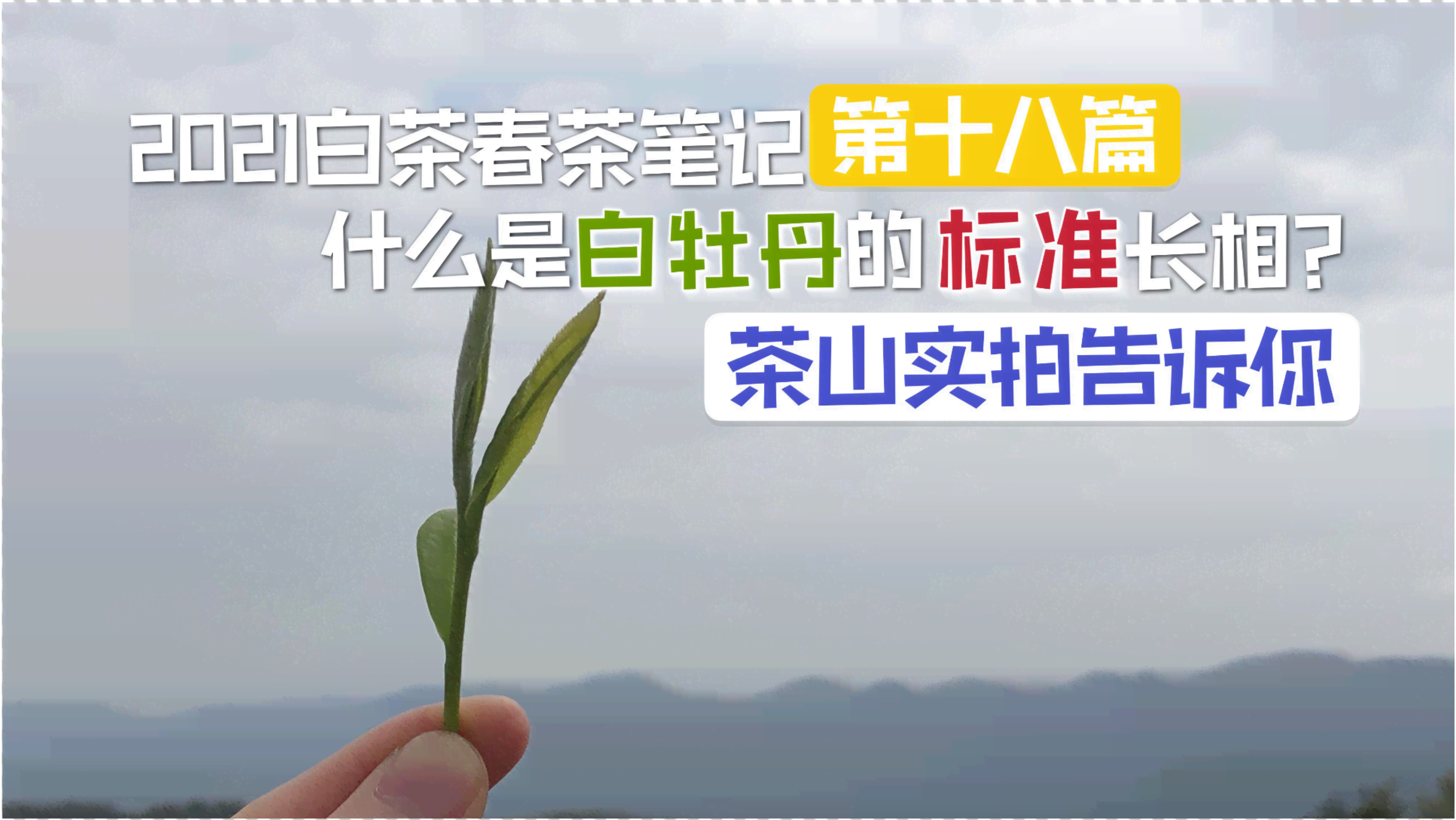 好的，请问您需要什么样的关键词？比如：普洱茶、采摘标准、一芽一叶等等。