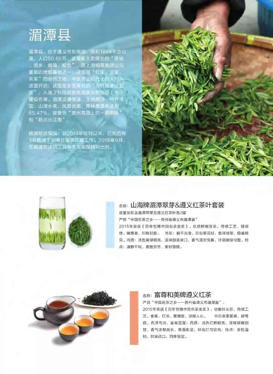 新舜赐茶：深度解析其独特的茶种、产地及口感特征