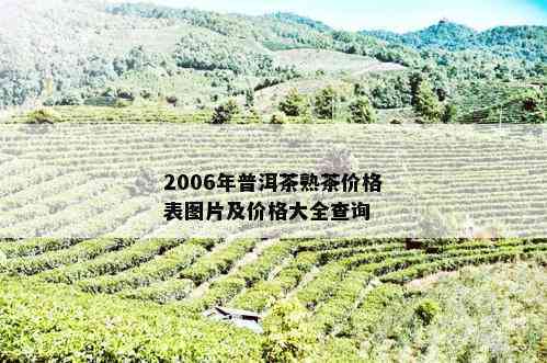 2006年绿大树普洱生茶价格行情分析与走势预测