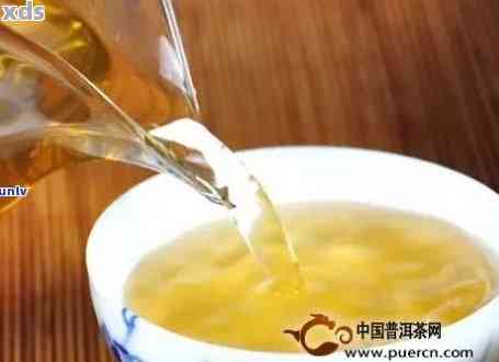 普洱茶油香之谜：出油与未出油茶叶的风味对比