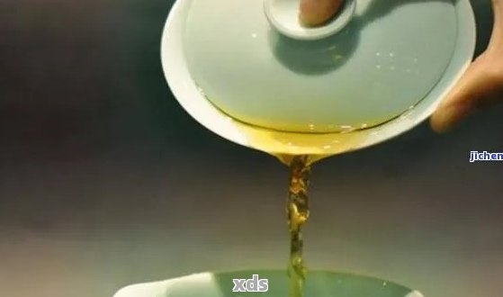 普洱茶油香之谜：出油与未出油茶叶的风味对比