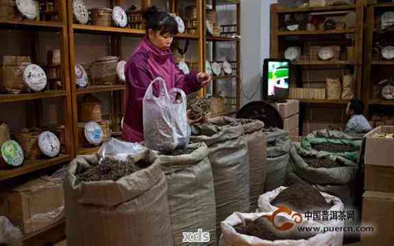 昆明普洱茶基地及其附近哪里有茶叶专卖店和市场？