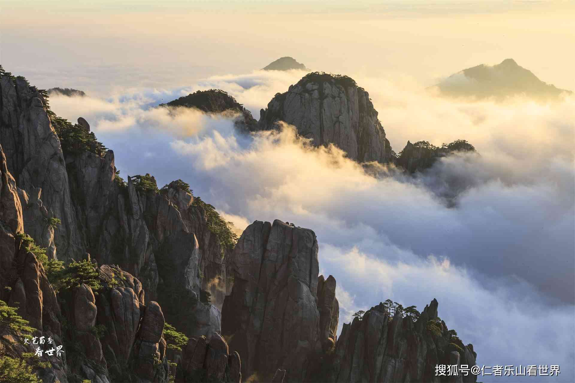 普洱五大名山的茶名：云南普洱茶五大名山，包括哪五座山？