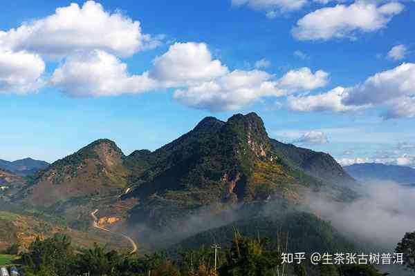 普洱茶五大茶山排名：哪几大是普洱茶的真名山？