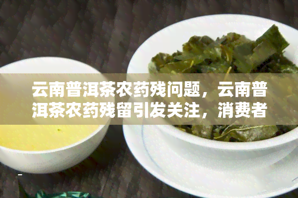 普洱茶农药残留问题：如何有效降低并最消除残留？