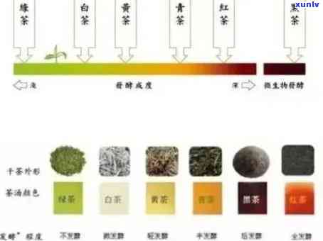 泡普洱茶的颜色变化过程：从开始到结的全貌