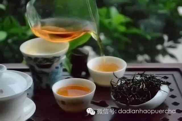 '普洱茶是属于凉性茶吗？为什么不能喝或者说是热性的？'