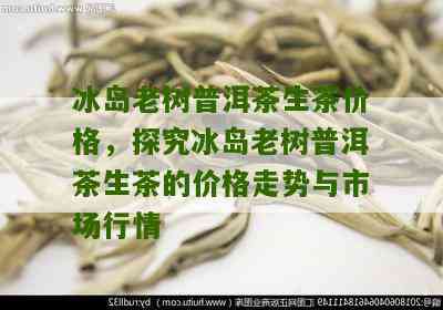 冰岛老树茶价格表，冰岛老树茶多少钱一斤？