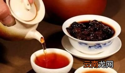 陈年普洱茶的投茶量