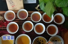 冰岛老寨的茶：品质、口感与传统工艺的完美融合