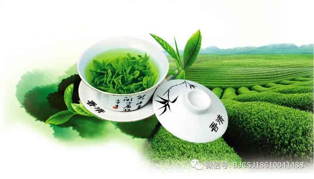 淘宝茶叶精选：品质纯正，口感醇厚，茶文化体验必备良品