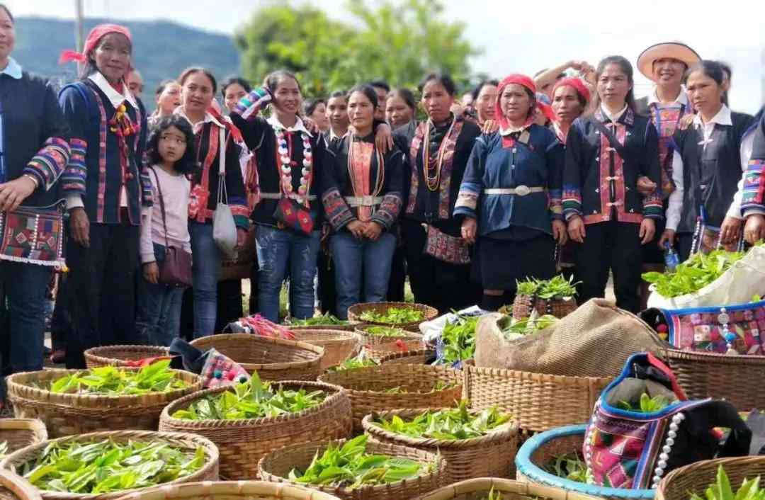 勐海普洱茶宫廷茶王