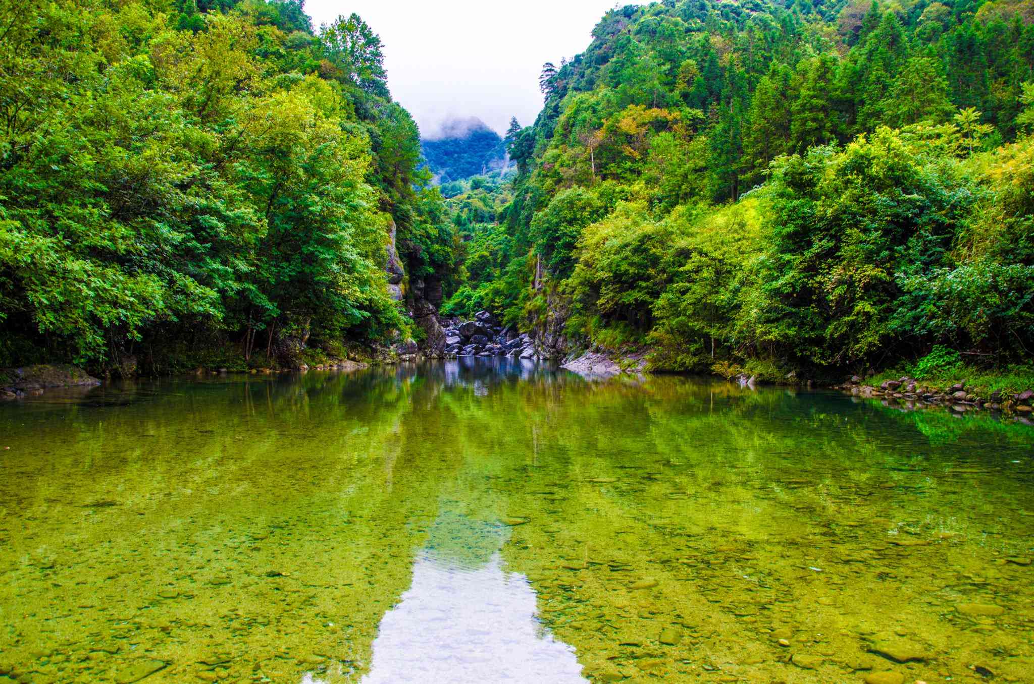 翡翠潜水蓝：浅蓝水翡翠的价格及价值分析