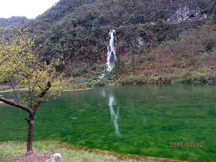 黔东南茶叶特点介绍：绿宝石般的清新与芬芳