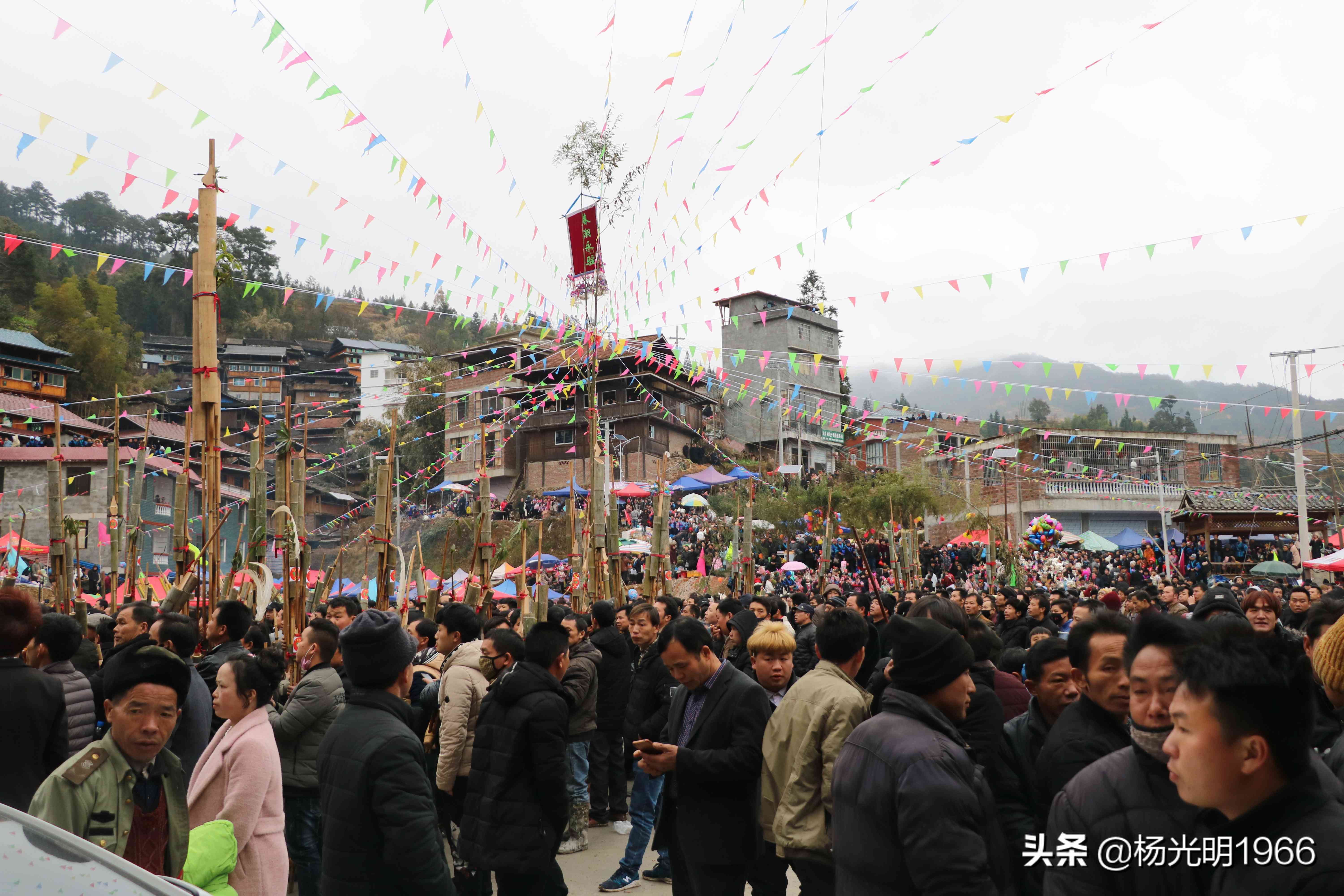 黔东南的茶叶品种、交易市场与种植面积全解析