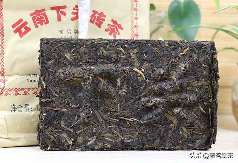 生熟普洱茶可以一起泡