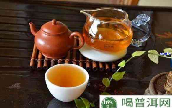 茶的保健与药理作用：全面解析茶叶对人体健的益处及科学原理