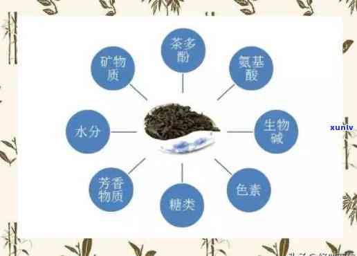 茶的保健与药理作用：全面解析茶叶对人体健的益处及科学原理