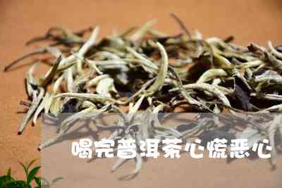 吉普洱茶选料