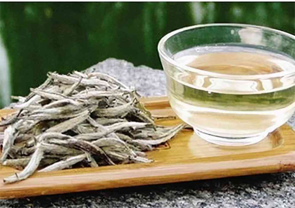 云南白茶：真正的白茶还是其他类型的茶？解答所有疑问