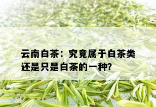 云南白茶：白茶还是绿茶？揭秘其真正的茶类归属