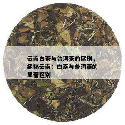 云南白茶是不是普洱茶：探究云南白茶与普洱茶的关系