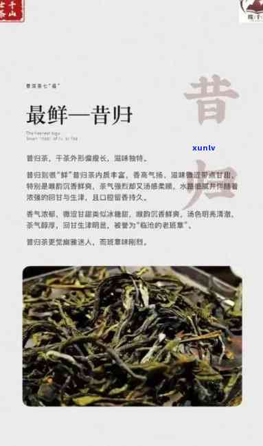 昔归普洱茶的神奇功效与益处：一款健饮品的全面解析