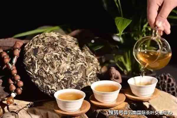 探索普洱茶在粤语中的独特称：从pu-erh到cha ye的微妙差别