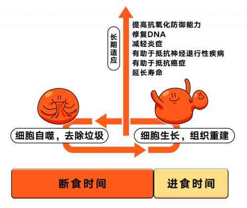 普洱茶对钙吸收的影响：科学研究、喝茶时间与钙流失的关系解析