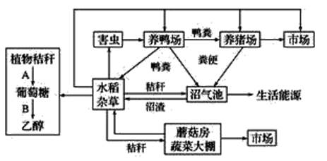 普洱茶对钙吸收的影响：科学研究、喝茶时间与钙流失的关系解析