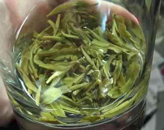 茶叶有机肥配方：提高茶叶品质与产量的关键秘