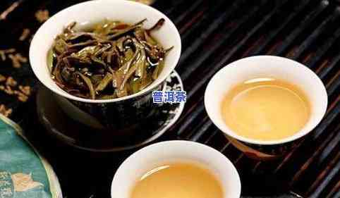 普洱茶属于什么类型的茶是红茶还是绿茶？