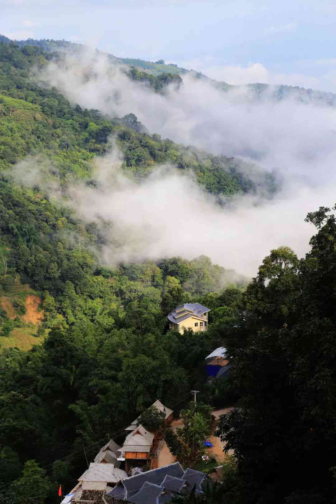 普洱茶八大茶山排名榜：全面了解中国普洱茶产地及特色，助你选购正宗好茶