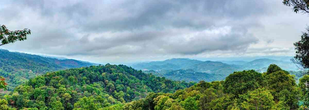 普洱茶八大茶山排名榜：全面了解中国普洱茶产地及特色，助你选购正宗好茶