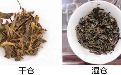 普洱降压茶：一种有效的自然疗法？是否属于国药？