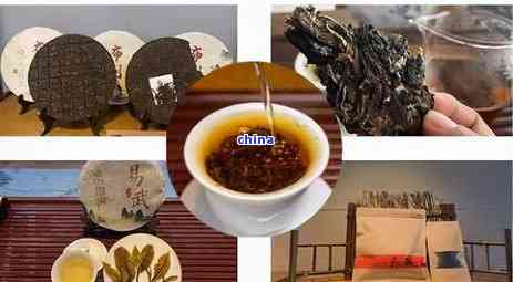 普洱茶存在茶店的安全性及保存期限：全面解析与解答您的疑问