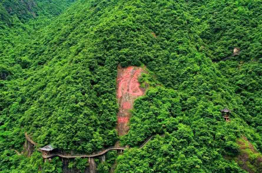 新 '皇山润涧高山茶叶，纯天然无污染，每斤仅售XX元'