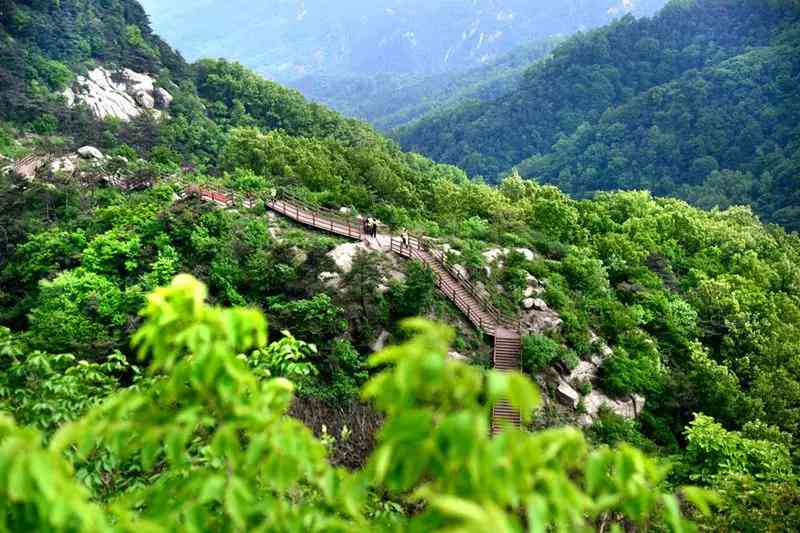 新 '皇山润涧高山茶叶，纯天然无污染，每斤仅售XX元'