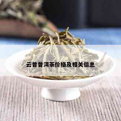 云客普洱茶官网价格